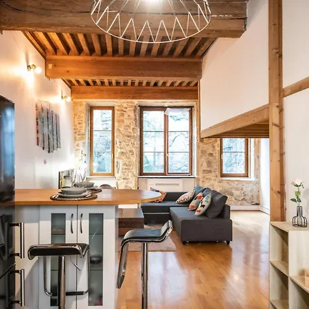 Apartment Soyeux - Superbe Canut Quai De Saone *